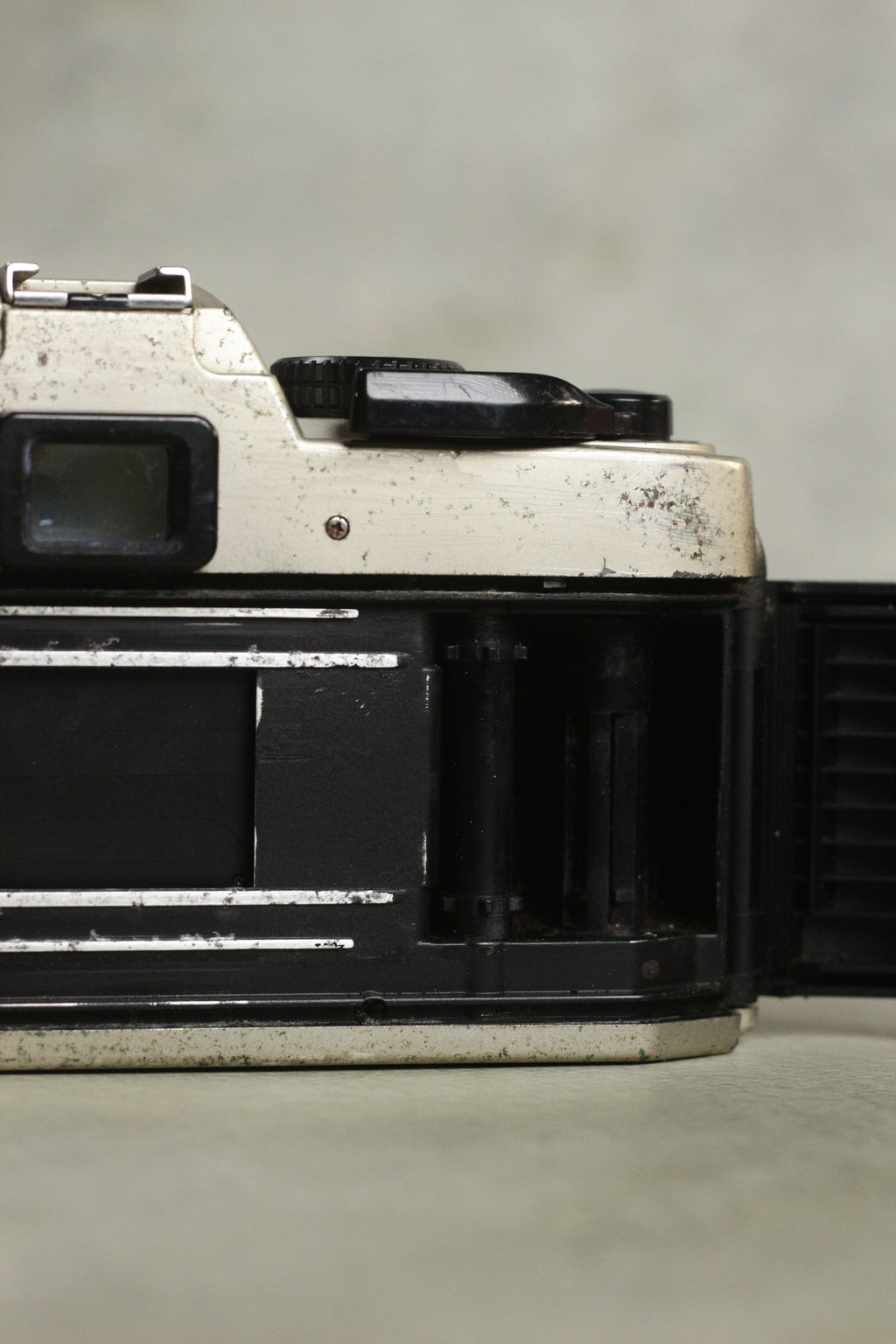 Nikon FM10 + Nikkor 35-70mm Zoom