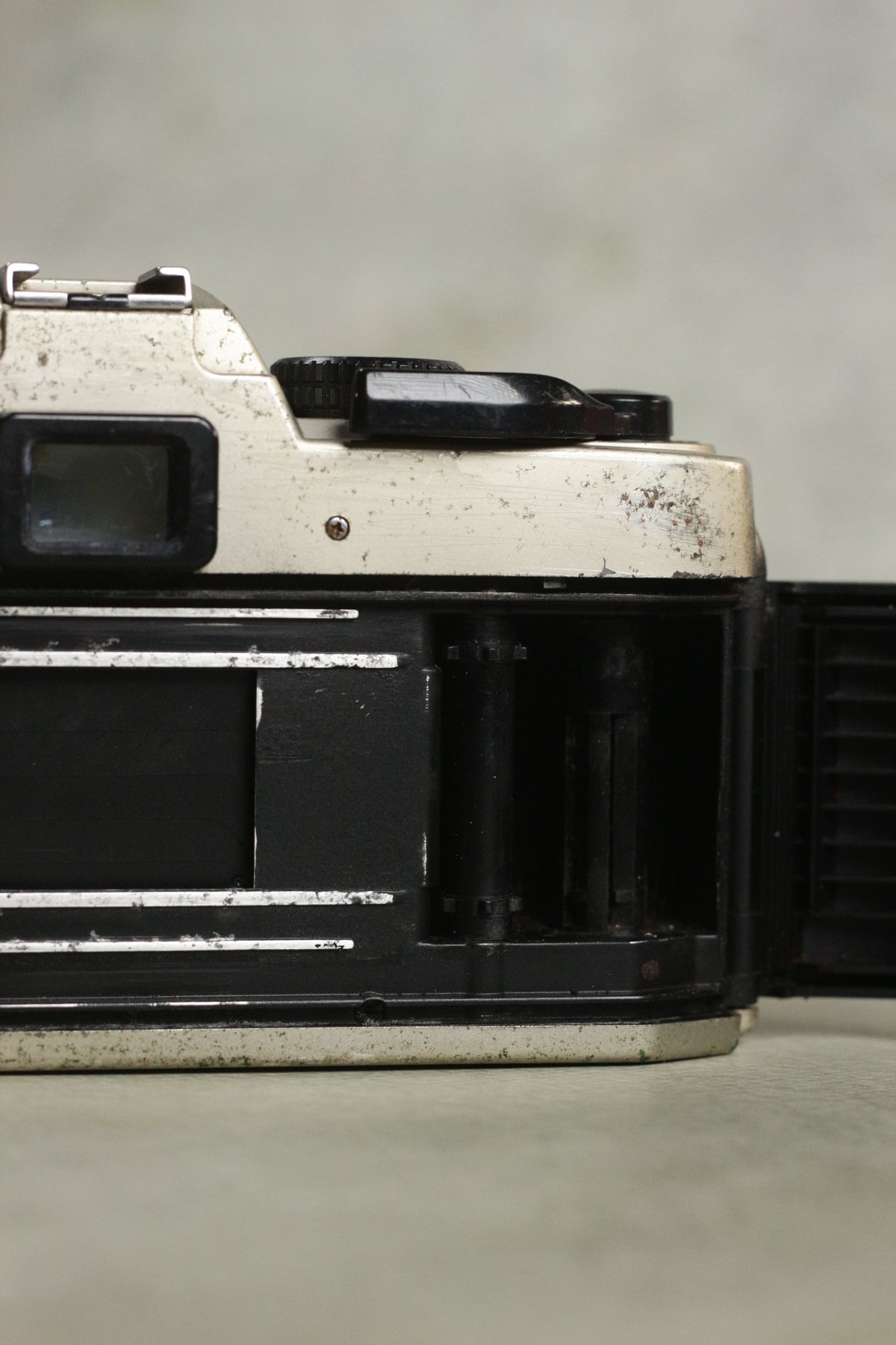 Nikon FM10 + Nikkor 35-70mm Zoom