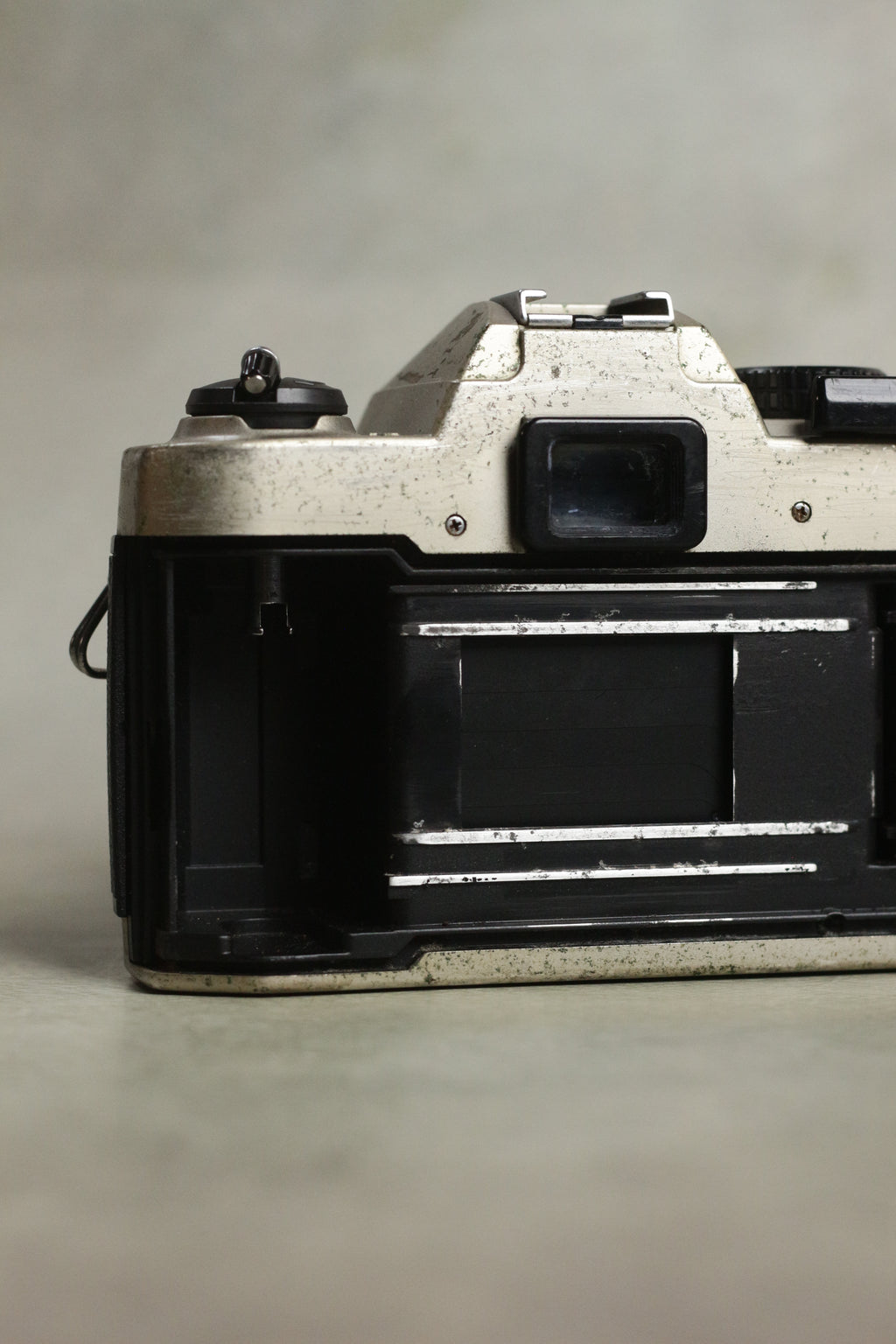 Nikon FM10 + Nikkor 35-70mm Zoom