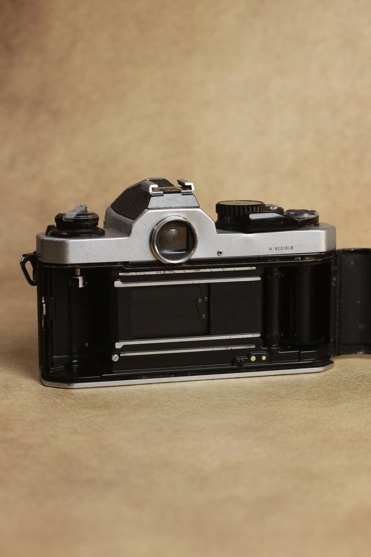 Nikon FM2n + Nikkor AI-S 50mm F1.4