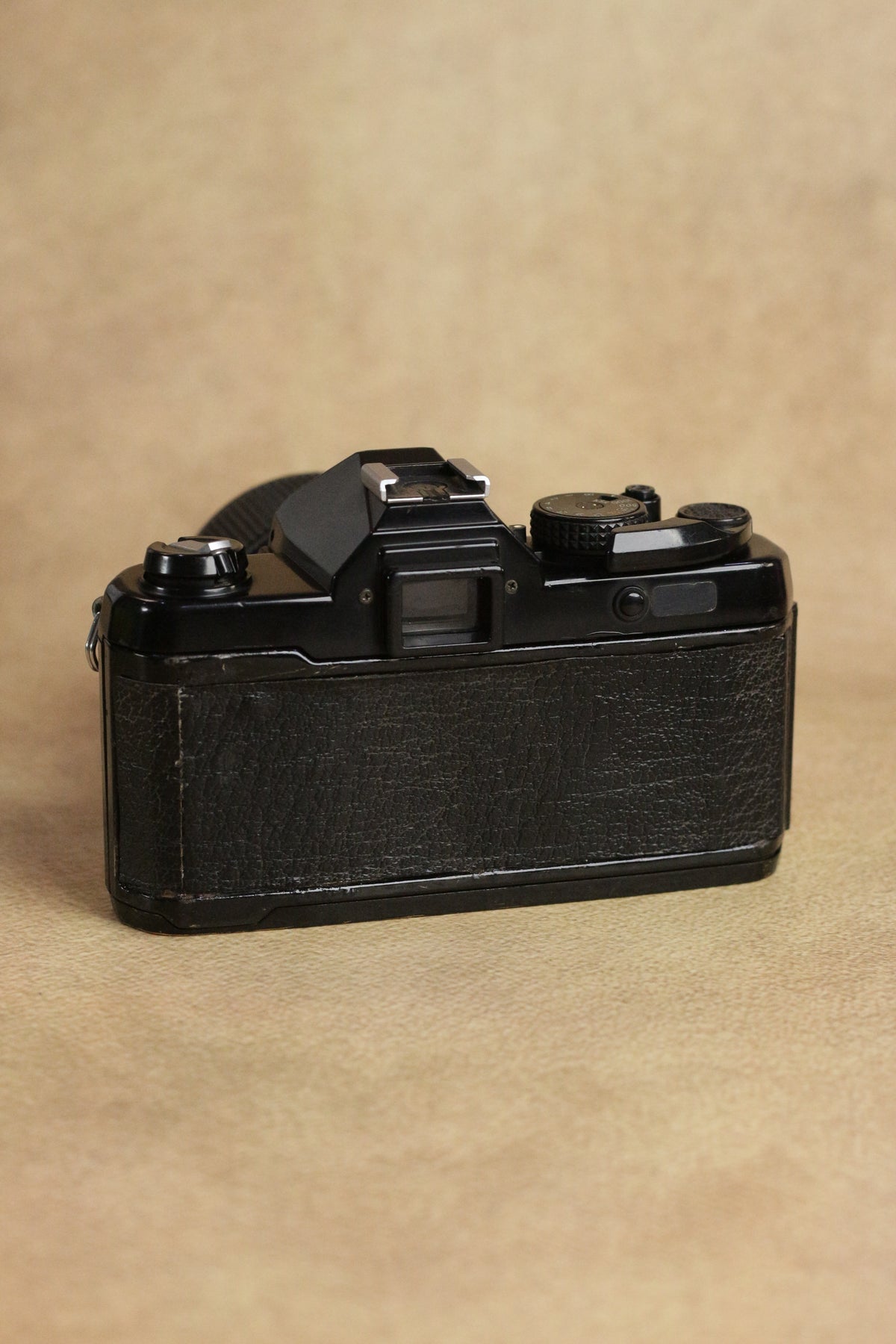 Yashica FX-3 + Yashica MC Zoom 35-70mm F3.5-4.5