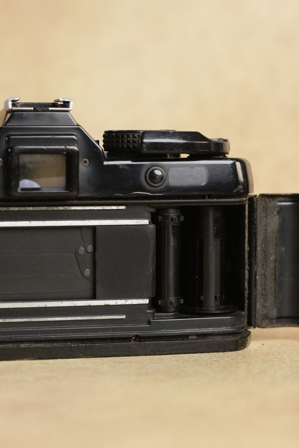 Yashica FX-3 + Yashica MC Zoom 35-70mm F3.5-4.5
