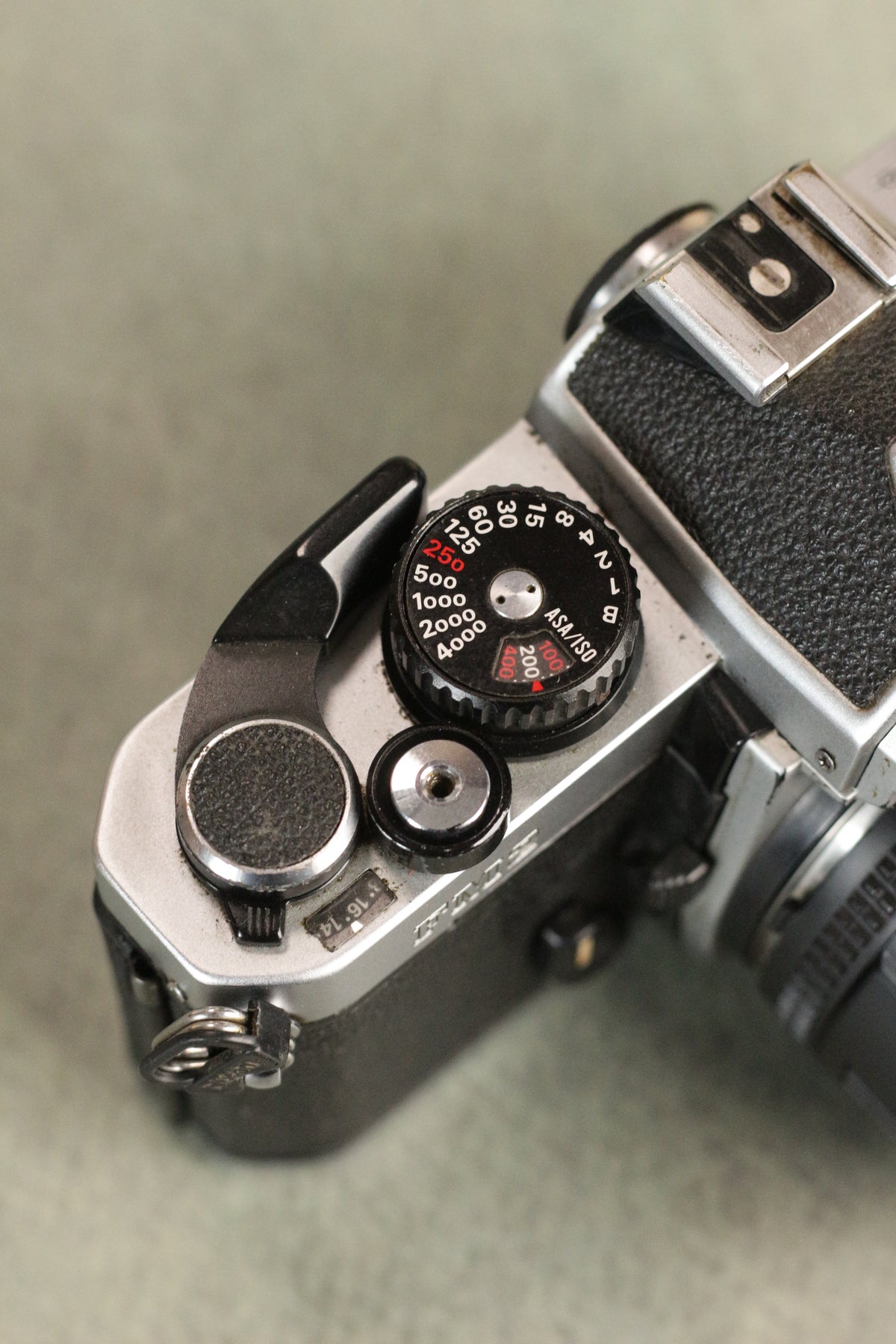 Nikon FM2n + Nikon AF Nikkor 50mm F1.8