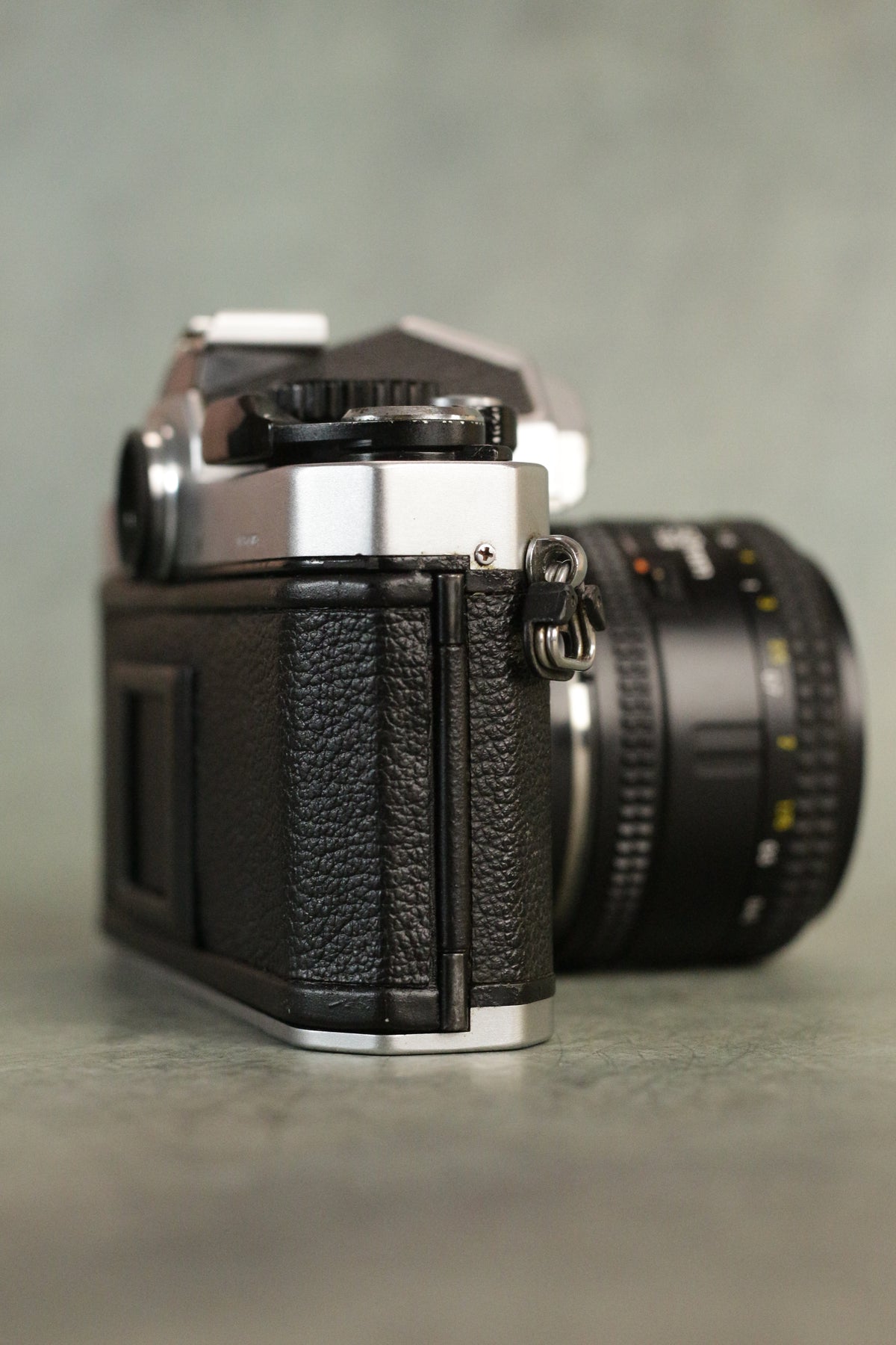Nikon FM2n + Nikon AF Nikkor 50mm F1.8