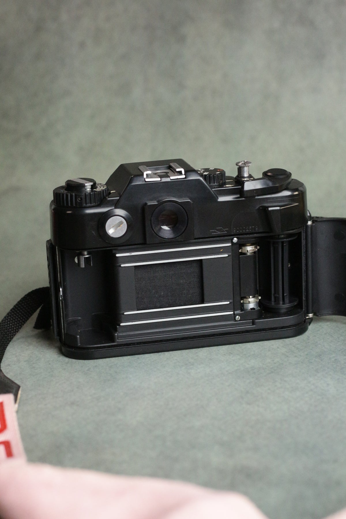 Zenit 122 + MC Helios 44M-4 58mm F2