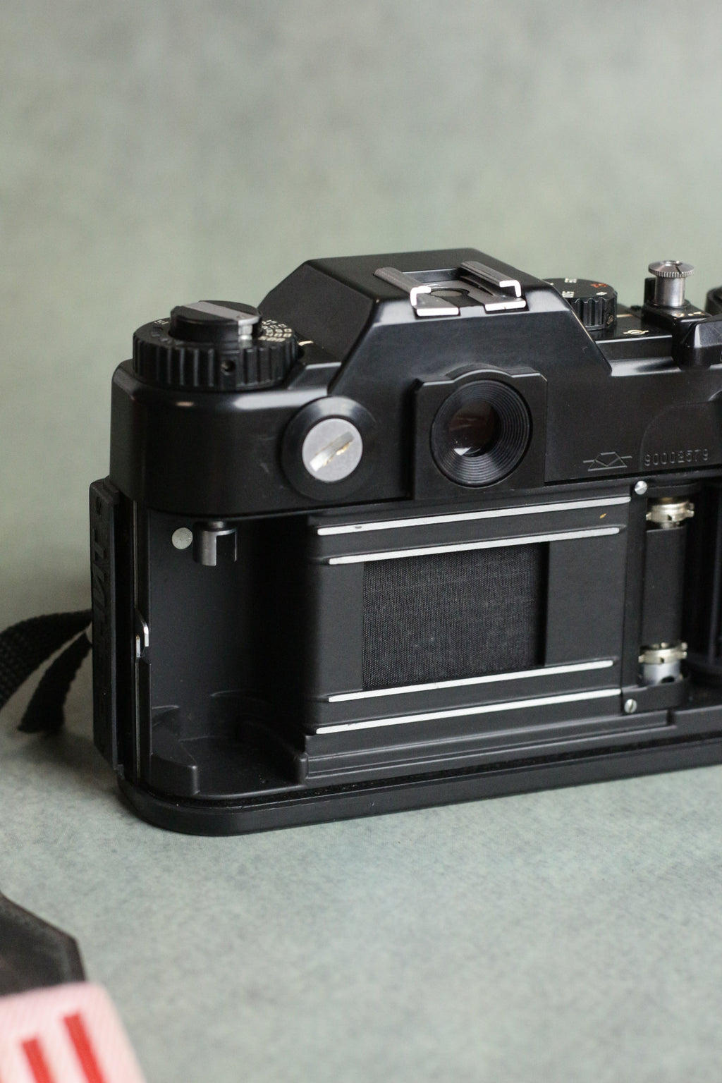Zenit 122 + MC Helios 44M-4 58mm F2