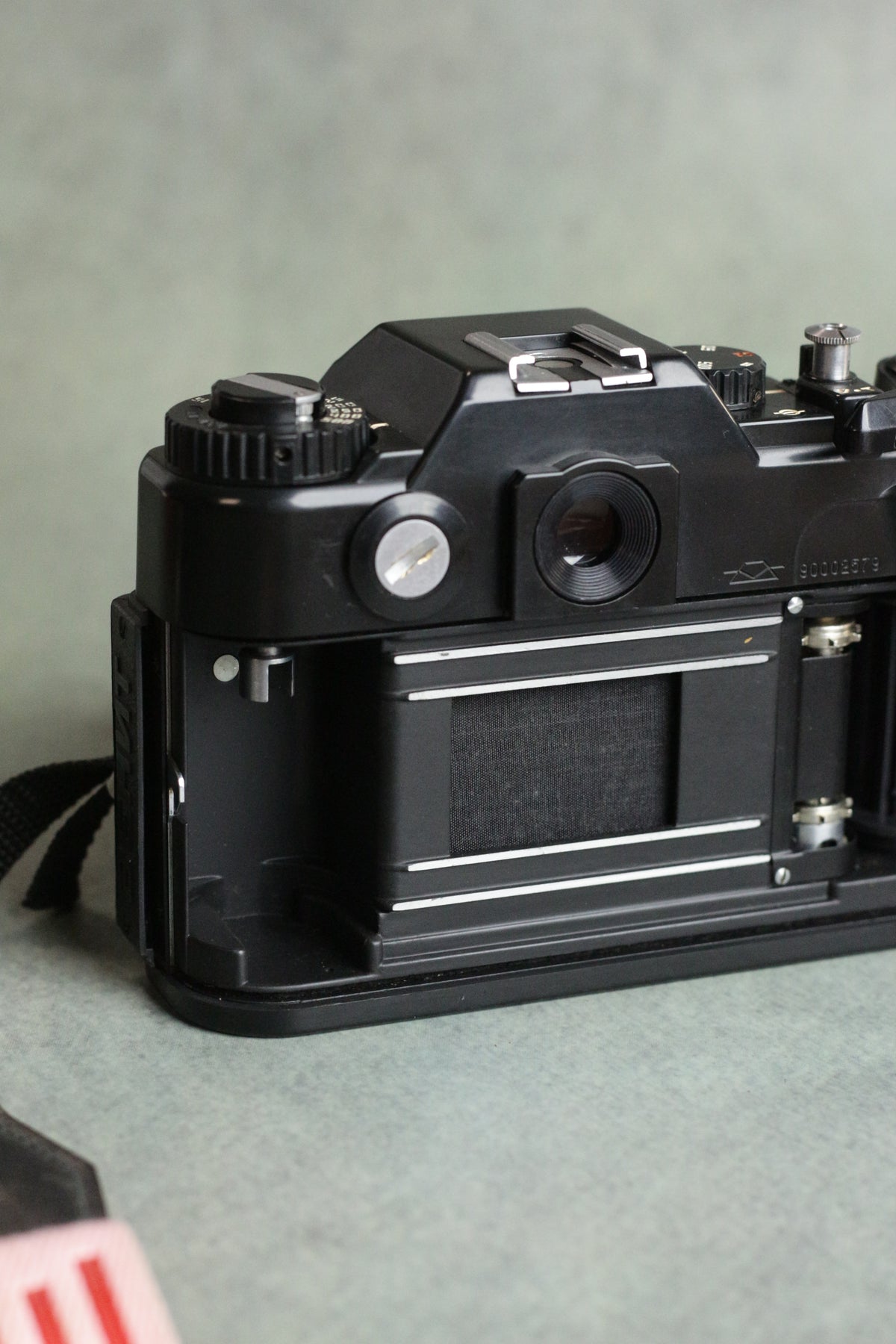 Zenit 122 + MC Helios 44M-4 58mm F2