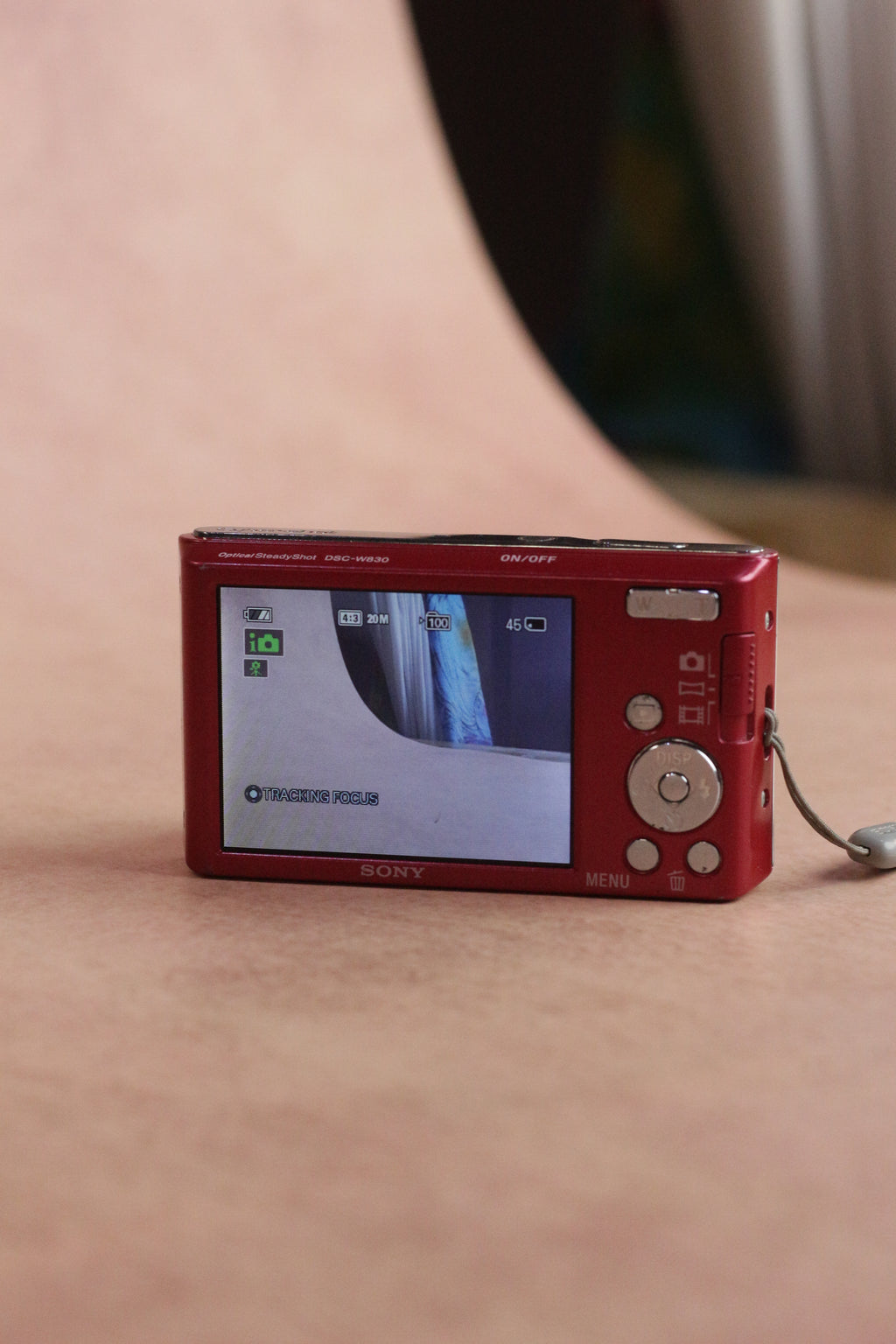 Sony Cyber-shot DSC-W830