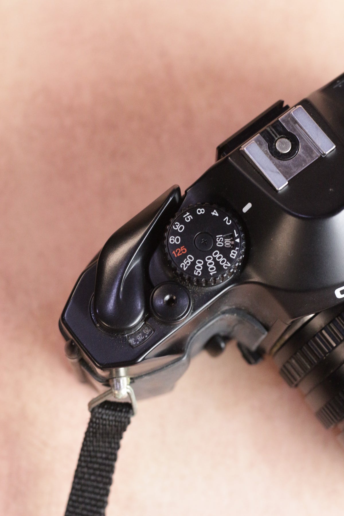 Cosina C1S + 35-70mm Macro Zoom