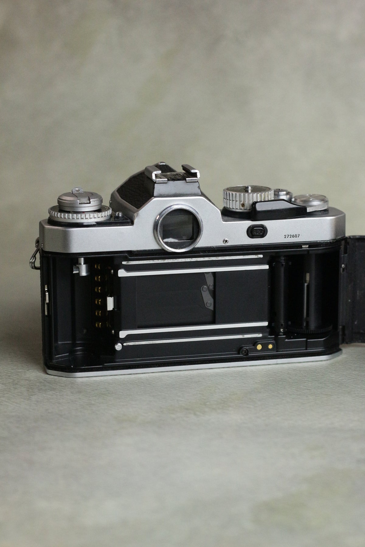Nikon FM3A + AF Nikkor 50mm f/1.8D