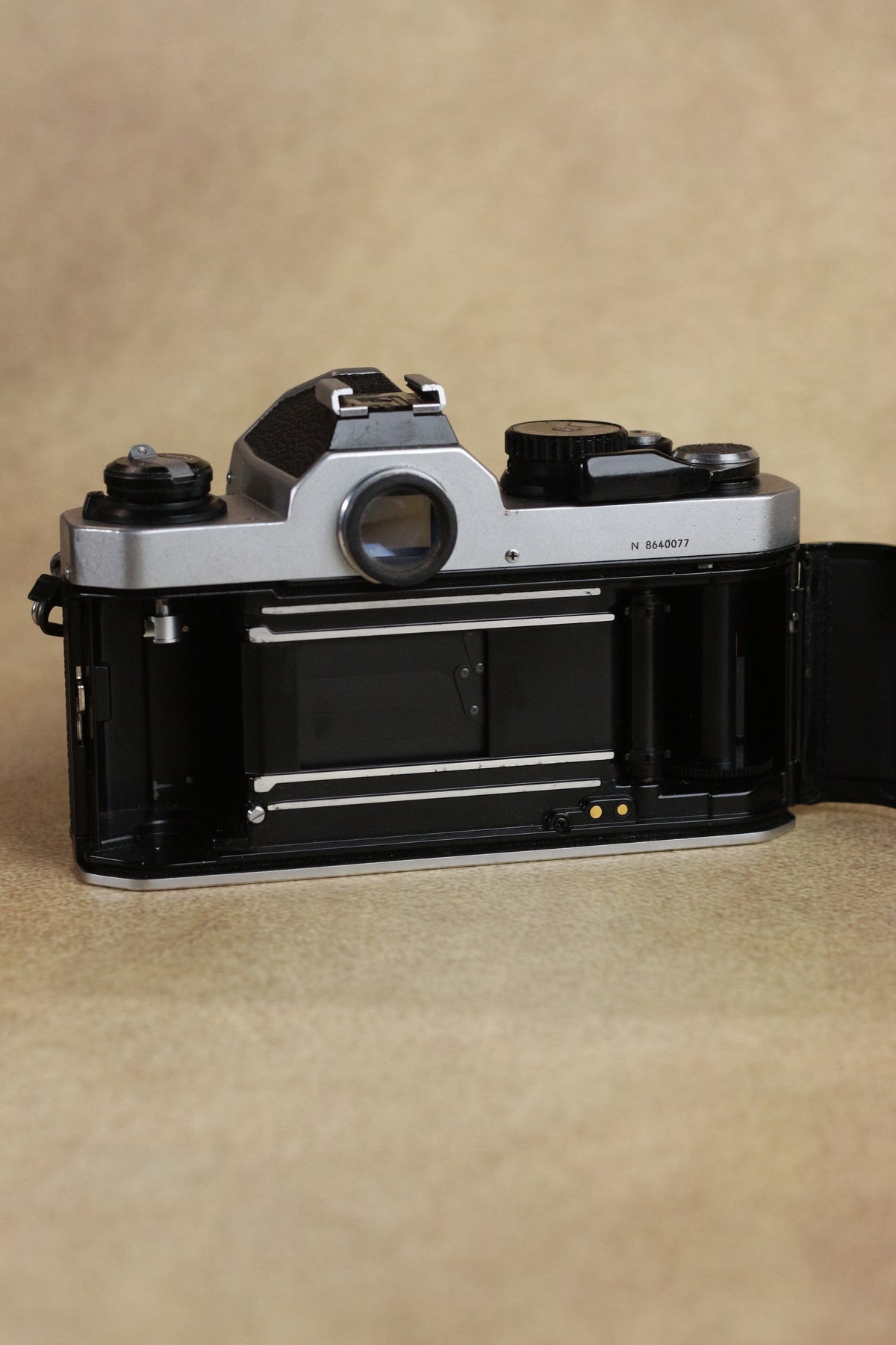 Nikon FM2n + Nikkor Ai 50mm f/1.4