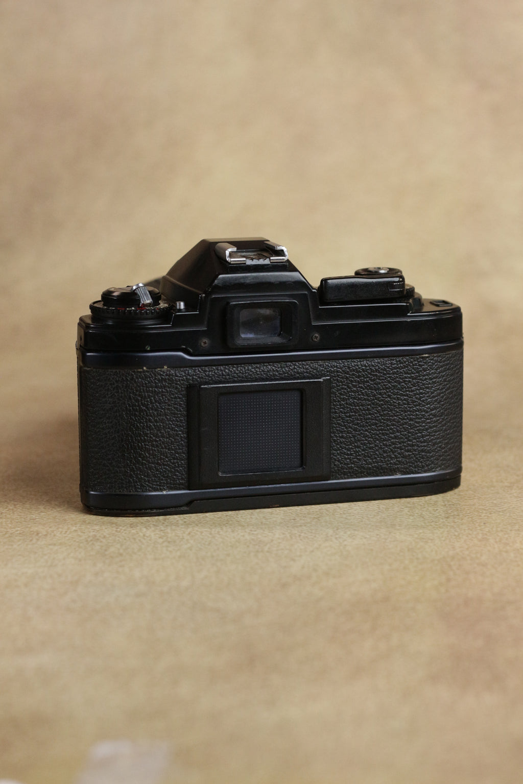 Nikon FG + Sigma 28-70mm Zoom