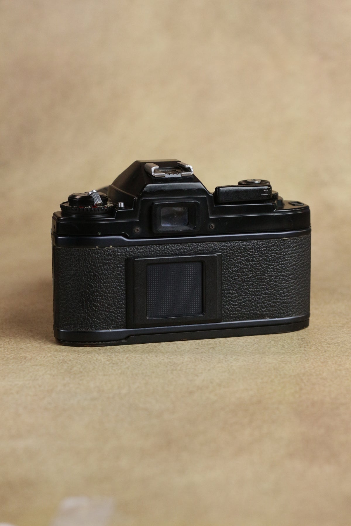 Nikon FG + Sigma 28-70mm Zoom