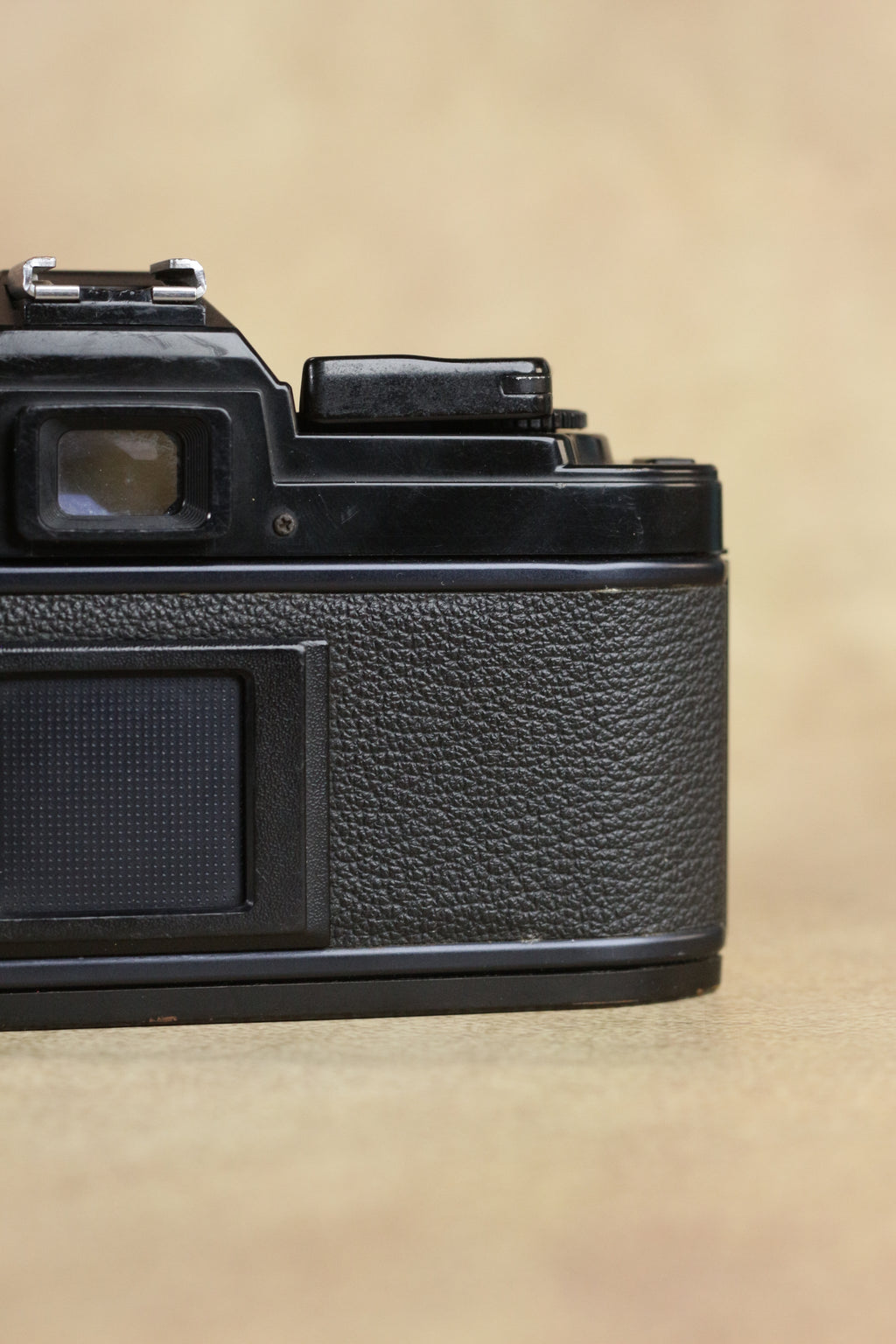 Nikon FG + Sigma 28-70mm Zoom