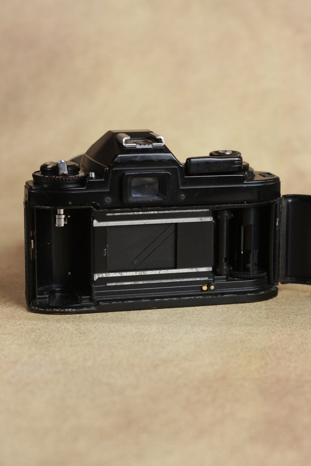 Nikon FG + Sigma 28-70mm Zoom