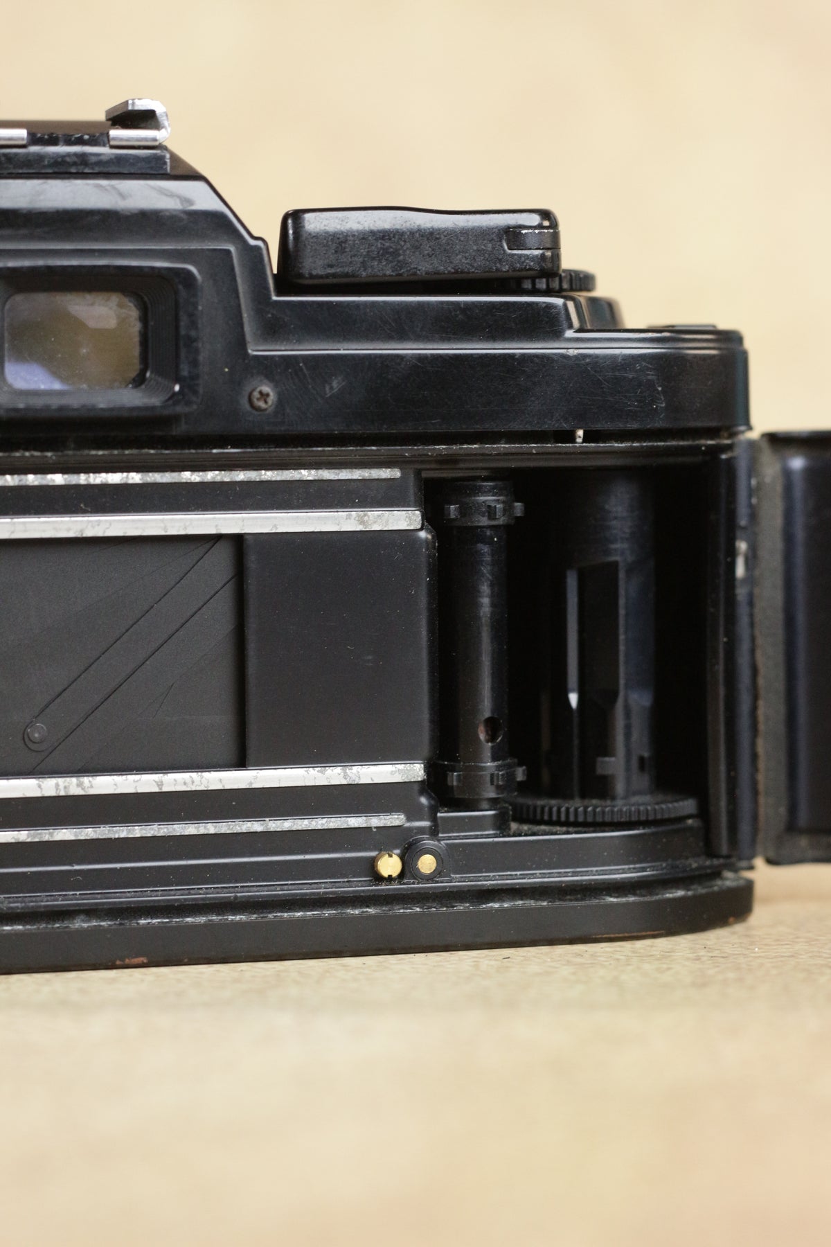 Nikon FG + Sigma 28-70mm Zoom