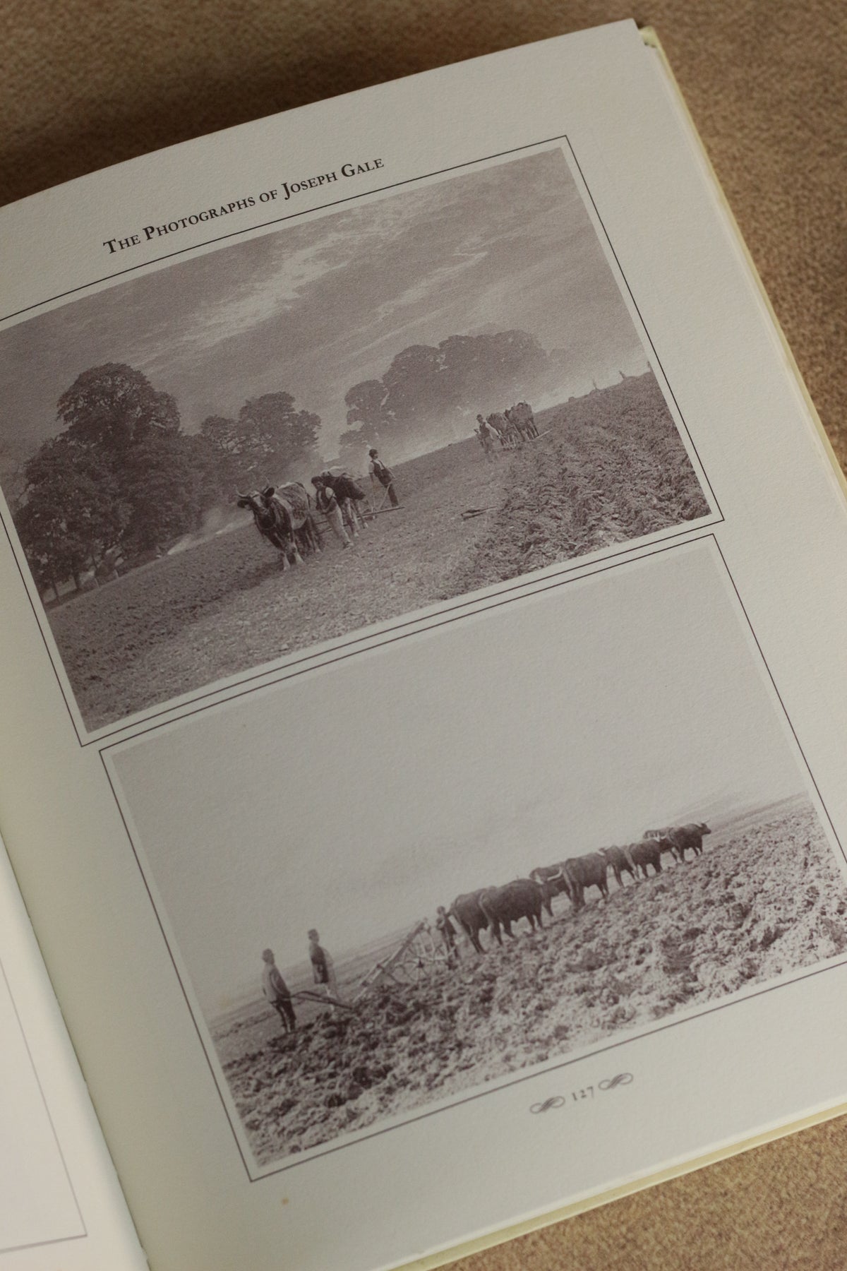 A Victorian Country Album: The Photographs of Joseph Gale