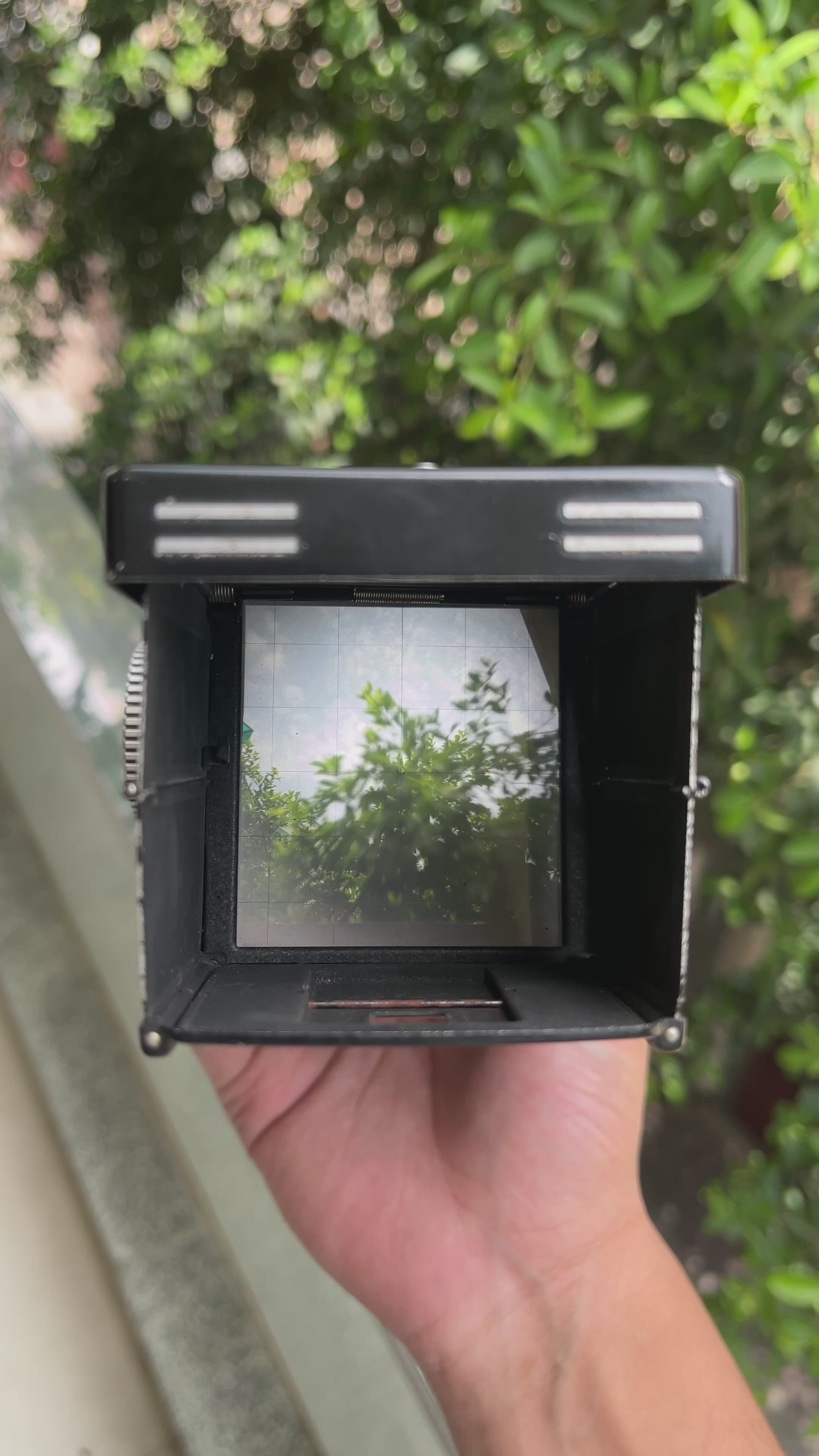 Rolleiflex T