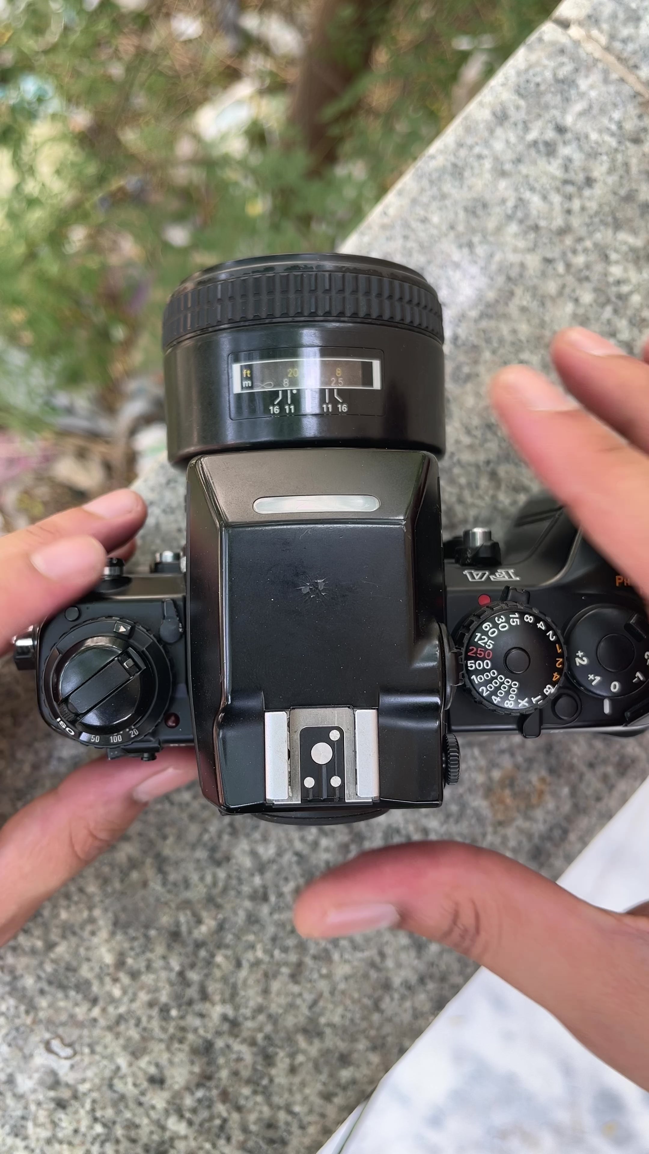 Nikon F4 + DP20 Viewfinder