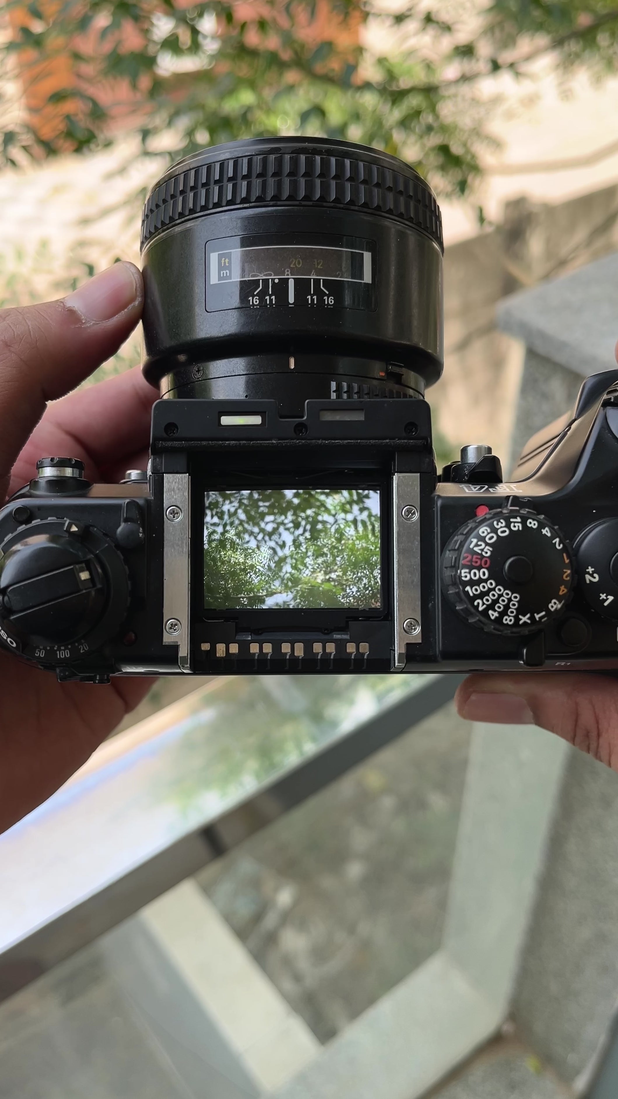 Nikon F4 + DP20 Viewfinder